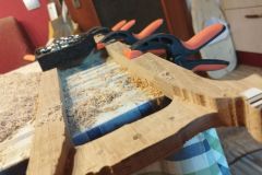 Talharpa-Eichenholz-2024-06